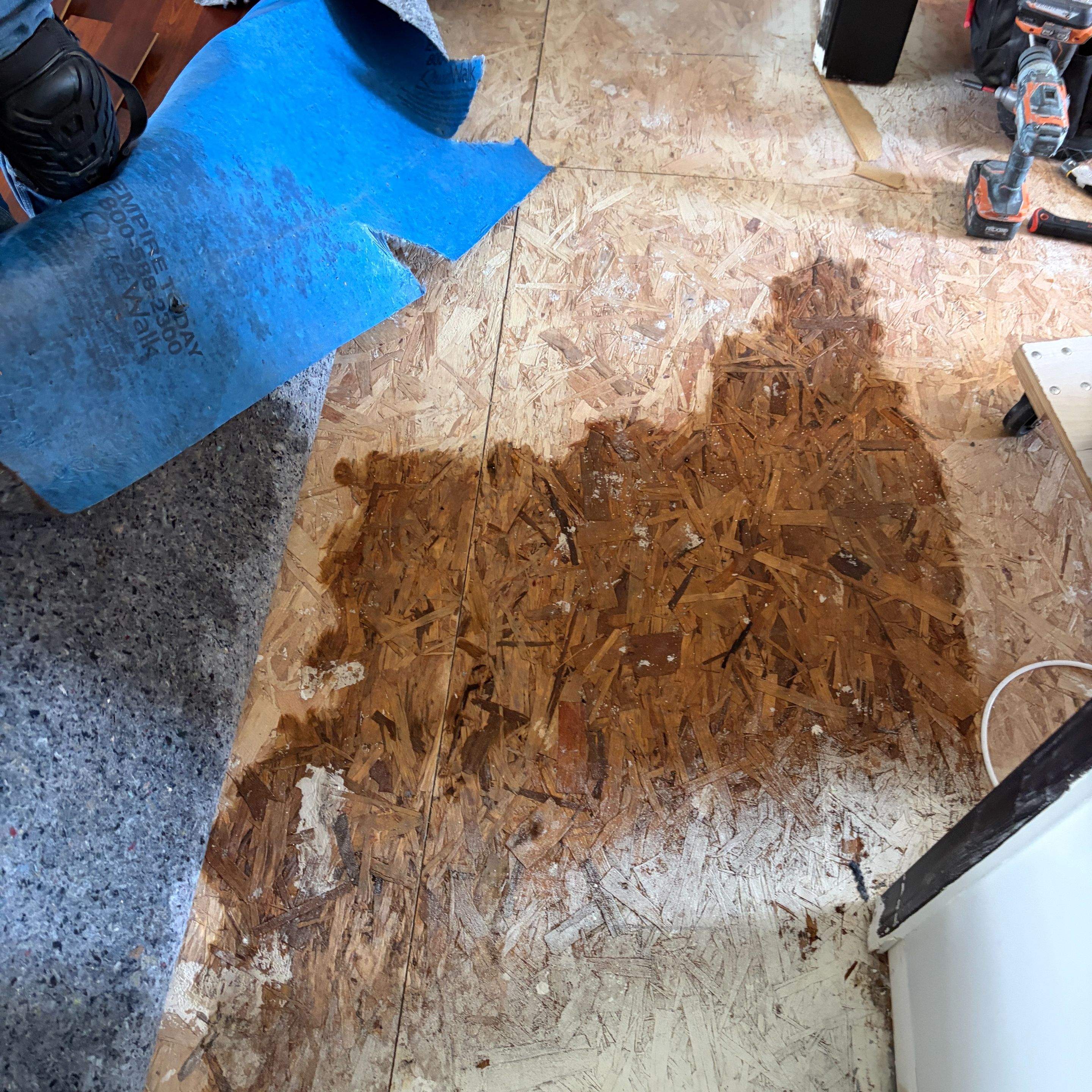 Water Damage Company Near Me in Fairmount: How to Choose